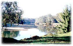 Corowa Golf Club Motel - Airlie Beach Holiday 0