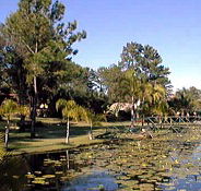 Twin Lakes Hotel - Airlie Beach Holiday
