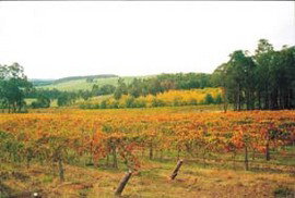 Airlie Beach Holiday