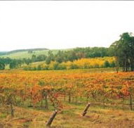 Byramgou Park - Airlie Beach Holiday