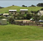 Ace Hi Riding Ranch - Airlie Beach Holiday