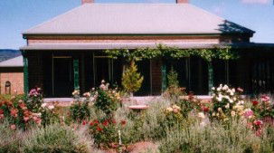 Apple Tree Flat NSW Airlie Beach Holiday