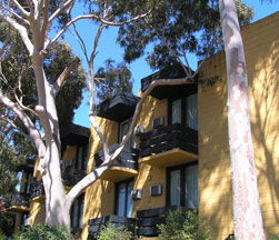 Pathfinder Motel - Airlie Beach Holiday 1