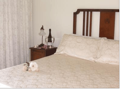 Catton Hall Country Homestead - Airlie Beach Holiday 3