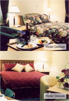 Loxton SA Airlie Beach Holiday