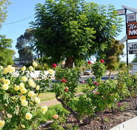 Narrogin Motel - Airlie Beach Holiday