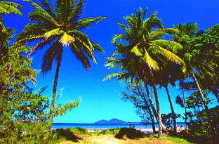 Mission Beach Rainforest Motel - Airlie Beach Holiday 1