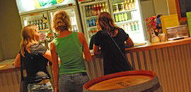 Toddy's Backpackers Resort - Airlie Beach Holiday 3