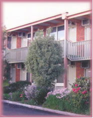 Hazelwood ACT Airlie Beach Holiday
