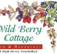 Wild Berry Cottage - Airlie Beach Holiday