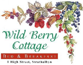 Wild Berry Cottage - Airlie Beach Holiday 0