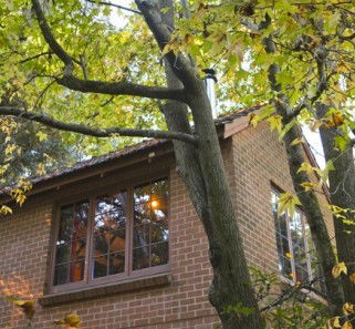 Crafers Cottages - Cherrytree Cottage - Airlie Beach Holiday 4