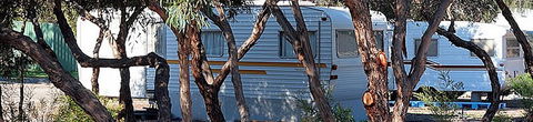 Marion Bay Caravan Park - Airlie Beach Holiday 1