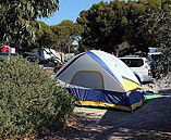 Marion Bay Caravan Park - Airlie Beach Holiday 6