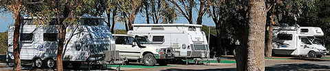 Marion Bay Caravan Park - Airlie Beach Holiday 8