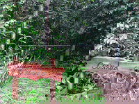 Rivers Edge Rainforest Retreat - Airlie Beach Holiday 4