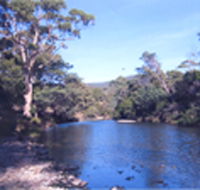 Douglas River Cabin - Airlie Beach Holiday