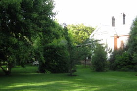 Oakdene Heritage Accommodation - Airlie Beach Holiday 0