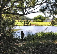 Newry Park Cottage - Airlie Beach Holiday