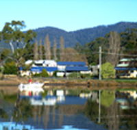Prosser Holiday Units - Airlie Beach Holiday