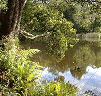 Weldborough Camping Ground - Airlie Beach Holiday