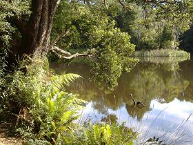 Weldborough Camping Ground - Airlie Beach Holiday 0