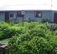 Engadine Cottage - Airlie Beach Holiday