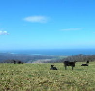 St Marys Seaview Farm - Airlie Beach Holiday