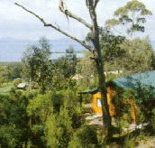 Partridge Farm - Airlie Beach Holiday
