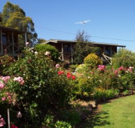 Mole Creek Holiday Village - Airlie Beach Holiday