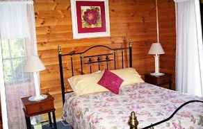 Gateforth Cottages - Airlie Beach Holiday 4