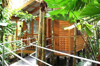 Daintree Wilderness Lodge - Airlie Beach Holiday 3