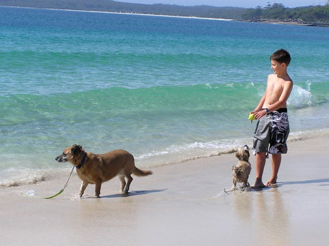 A Paradise Bungalow Waterfront - Airlie Beach Holiday 1