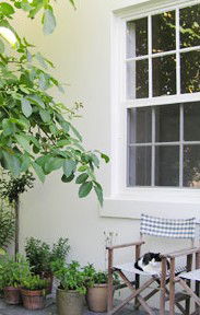 Camellia Cottage Bed & Breakfast - Airlie Beach Holiday 2