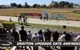 Grafton Greyhound Racing Club Caravan Park - thumb 1