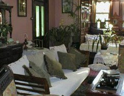 Arcola Bed And Breakfast - Airlie Beach Holiday 1