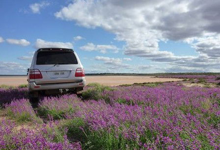 Pincally Station - Airlie Beach Holiday 1
