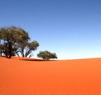 Theldarpa Stationstay - Airlie Beach Holiday
