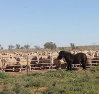 Pimpara Lake StationStay - Airlie Beach Holiday