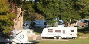 Bellinger River Tourist Park - Airlie Beach Holiday 3