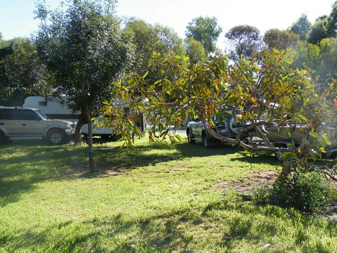 Kyalite Caravan Park - Airlie Beach Holiday 3