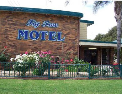 Fig Tree Motel - Airlie Beach Holiday 0