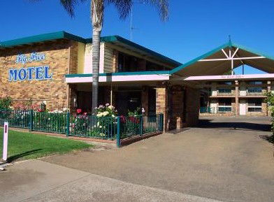 Fig Tree Motel - Airlie Beach Holiday 1