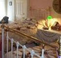 A Winter-Rose Cottage Bed and Breakfast - Airlie Beach Holiday