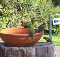 Lamb Island Bed and Breakfast - Airlie Beach Holiday