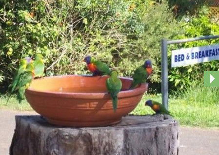 Lamb Island Bed And Breakfast - Airlie Beach Holiday 0