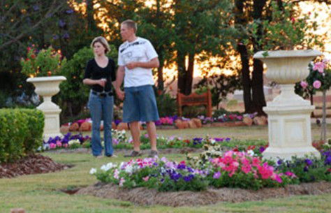 Mulanah Gardens Bed And Breakfast Cottages - Airlie Beach Holiday 4