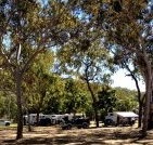 Barracrab Caravan Park - Airlie Beach Holiday