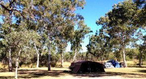 Barracrab Caravan Park - Airlie Beach Holiday 2