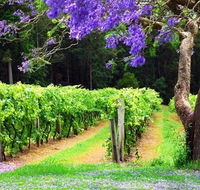 Bago Vineyards - Airlie Beach Holiday